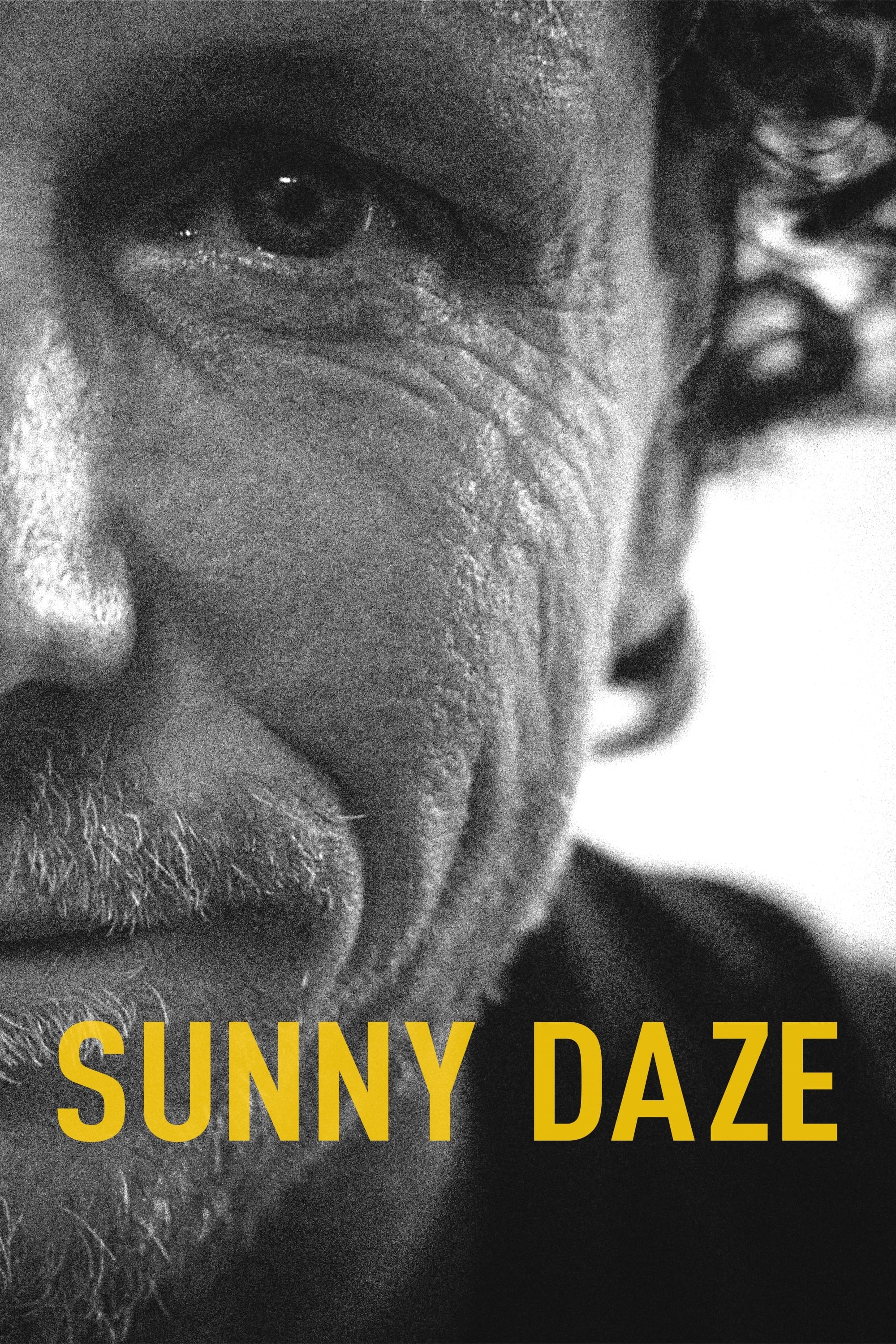 Постер Sunny Daze